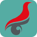 学历查询（学信网）